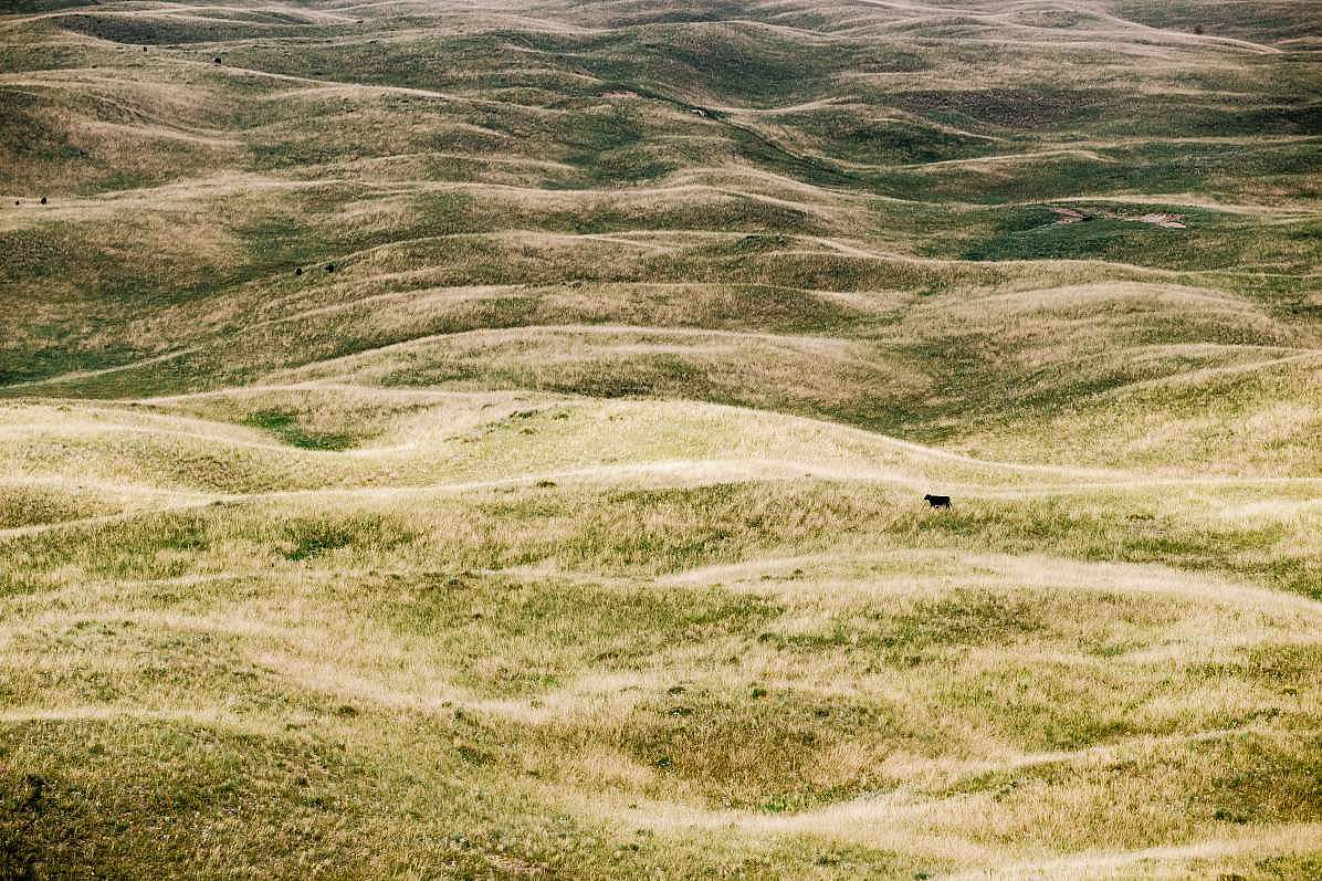 Unendliche Weiden – die Sandhills in Nebraska