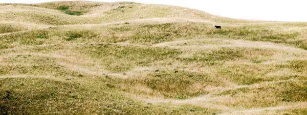 Sandhills Nebraska