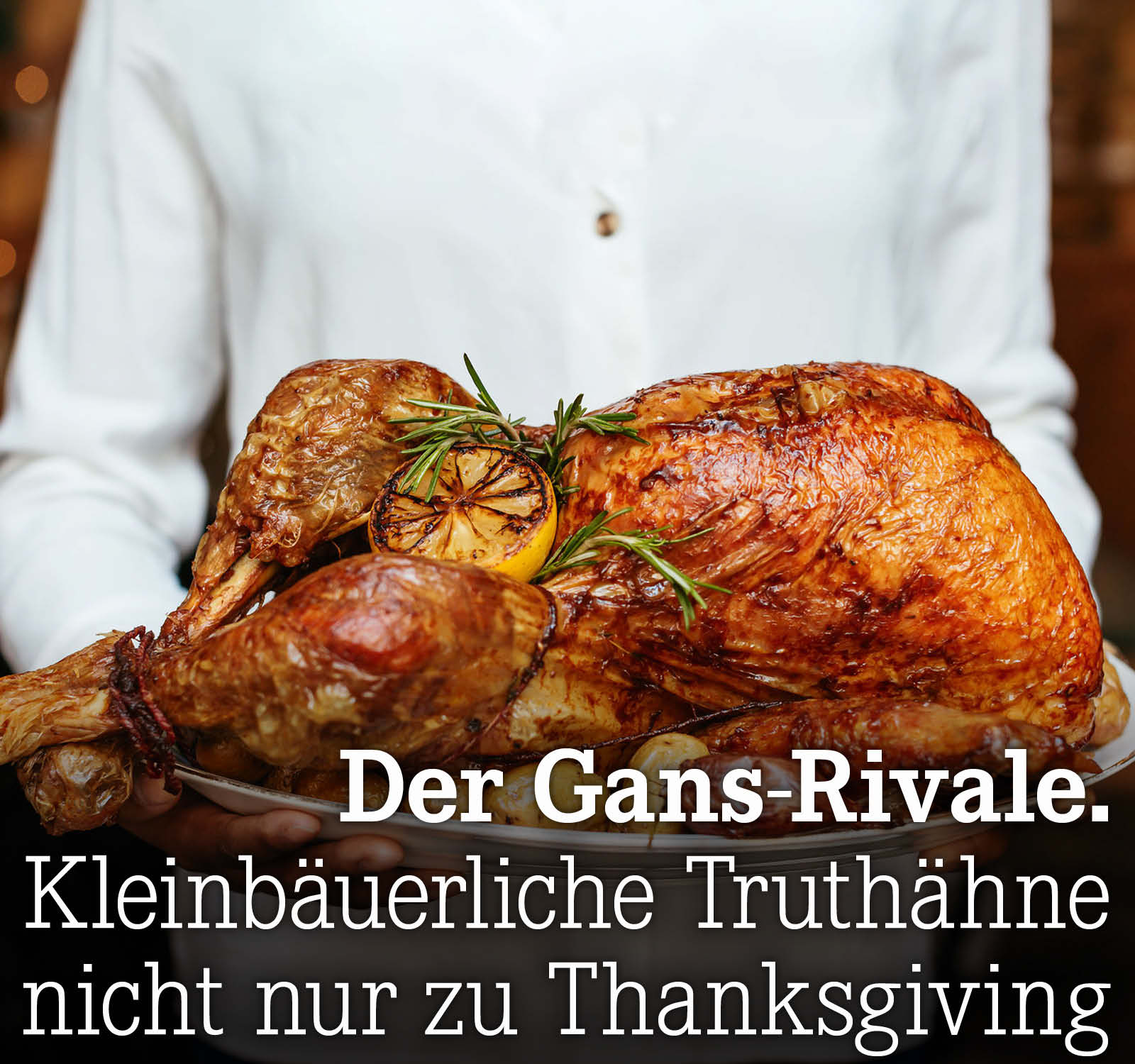 Kleinbäuerliche Truthähne nicht nur zu Thanksgiving