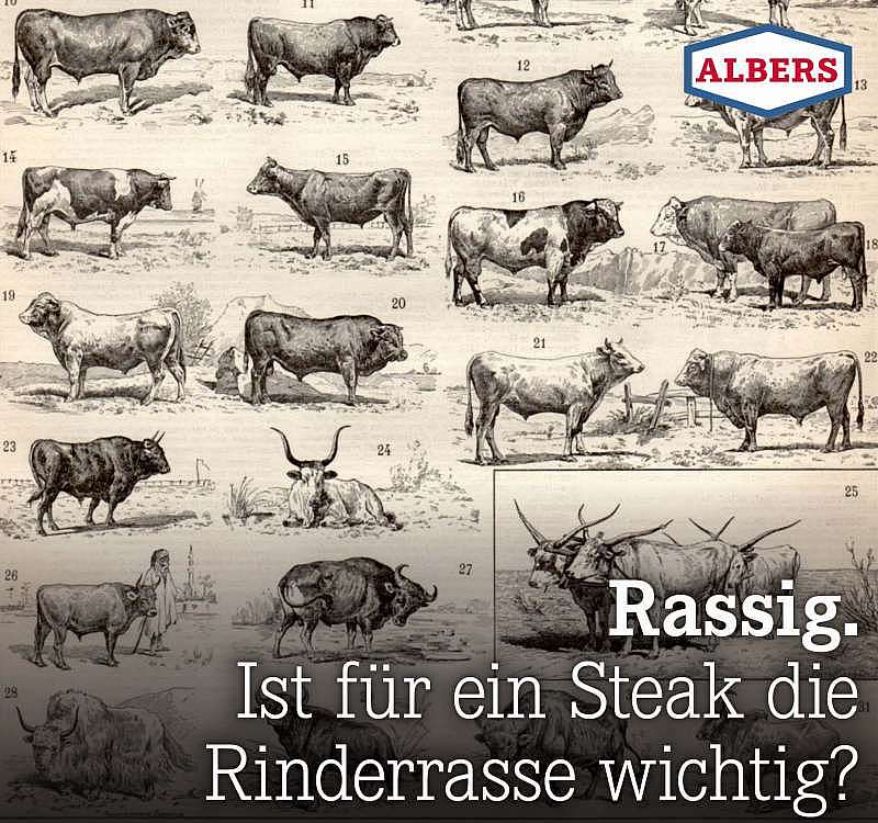 Rassig. Ist für ein Steak die Rinderrasse wichtig?