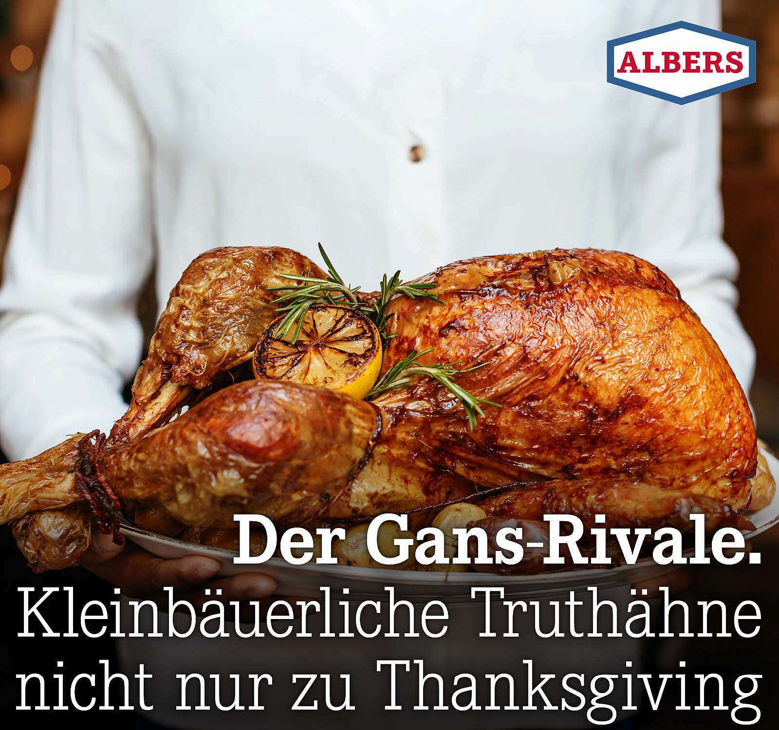 Der Gans-Rivale. Kleinbäuerliche Truthähne nicht nur zu Thanksgiving