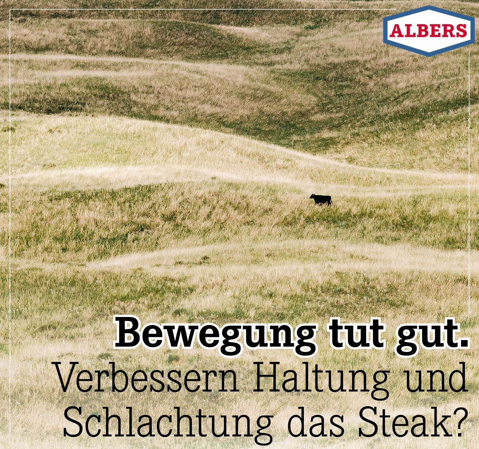 Bewegung tut gut. Verbessern Haltung und Schlachtung das Steak?