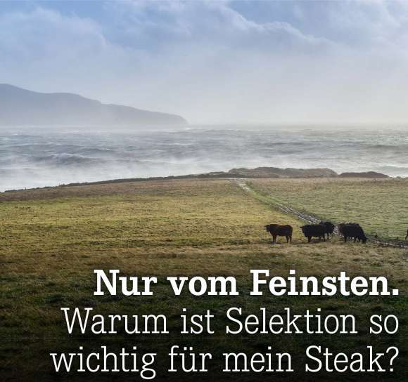 Warum ist Selektion so wichtig für mein Steak?