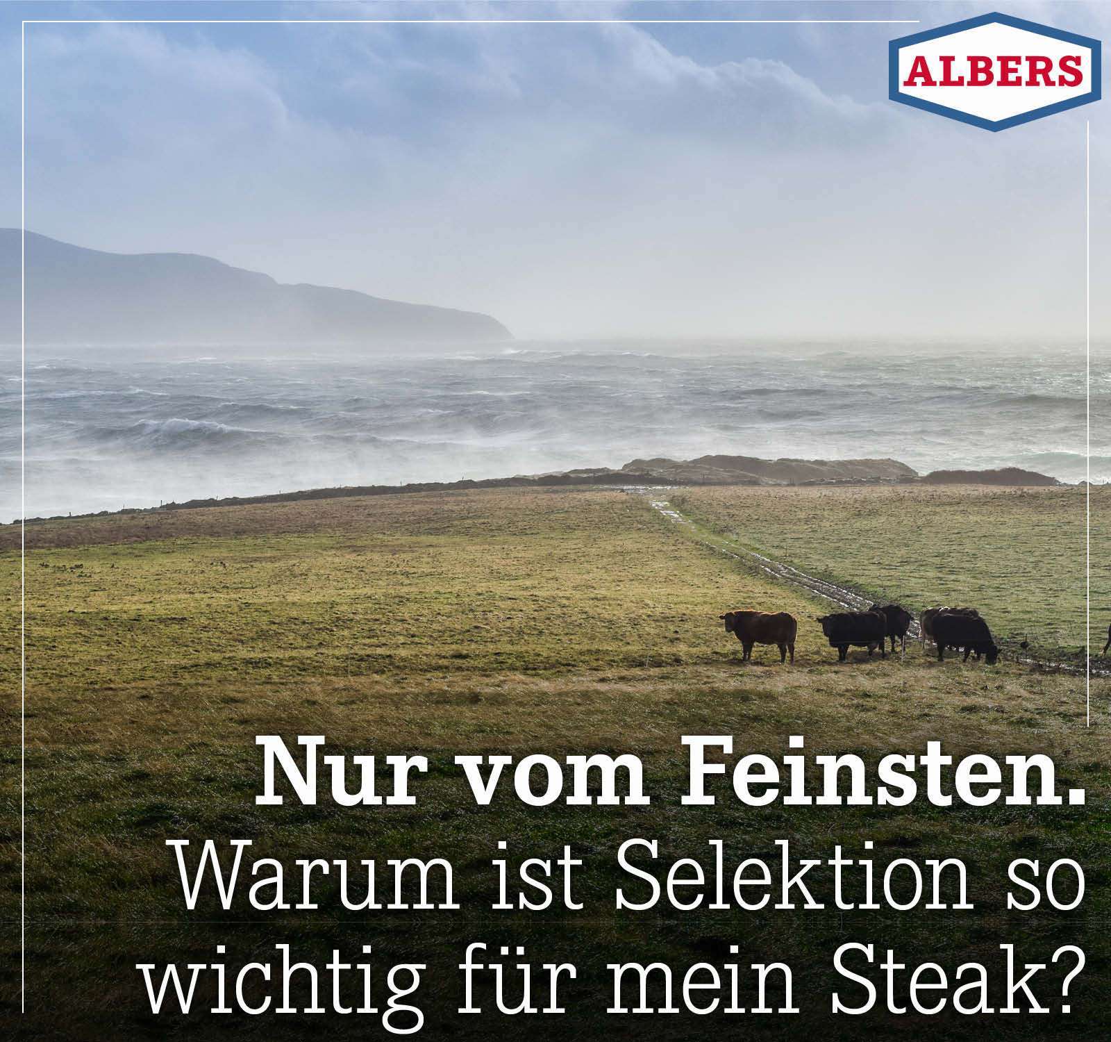 Nur vom Feinsten. Warum ist Selektion so wichtig für mein Steak?