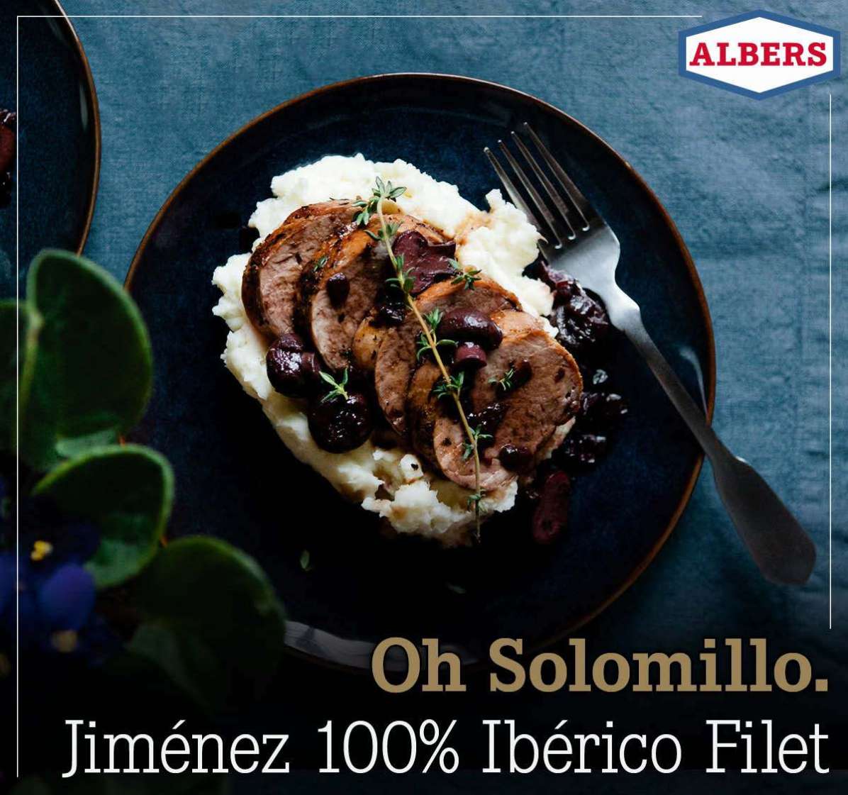 Oh Solomillo. 100% Ibérico Filet