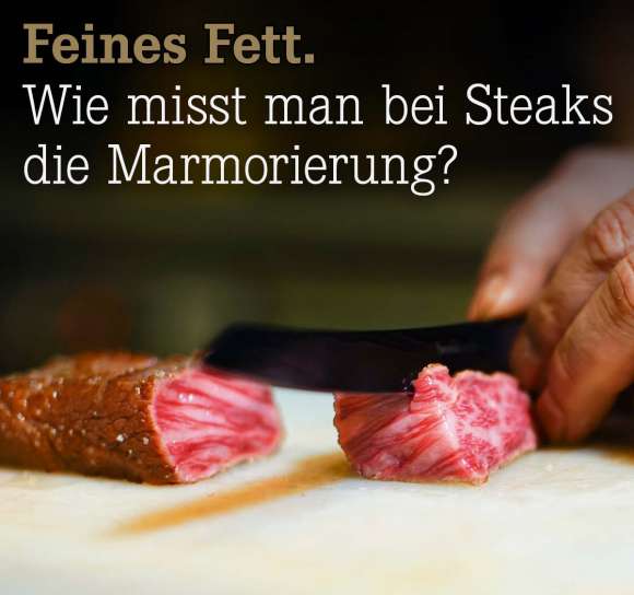 Wie%20misst%20man%20bei%20Steaks%20die%20Marmorierung%3F