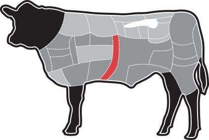 beefchart-skirt.ai_