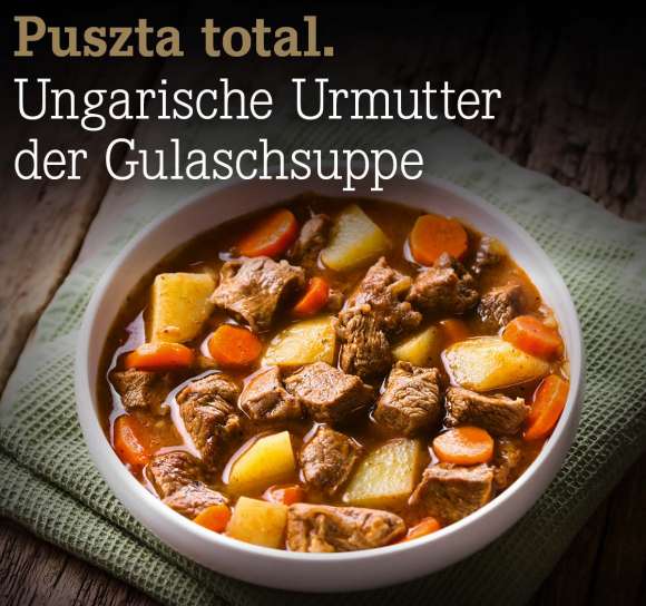 Puszta%20total.%20Ungarische%20Urmutter%20der%20Gulaschsuppe