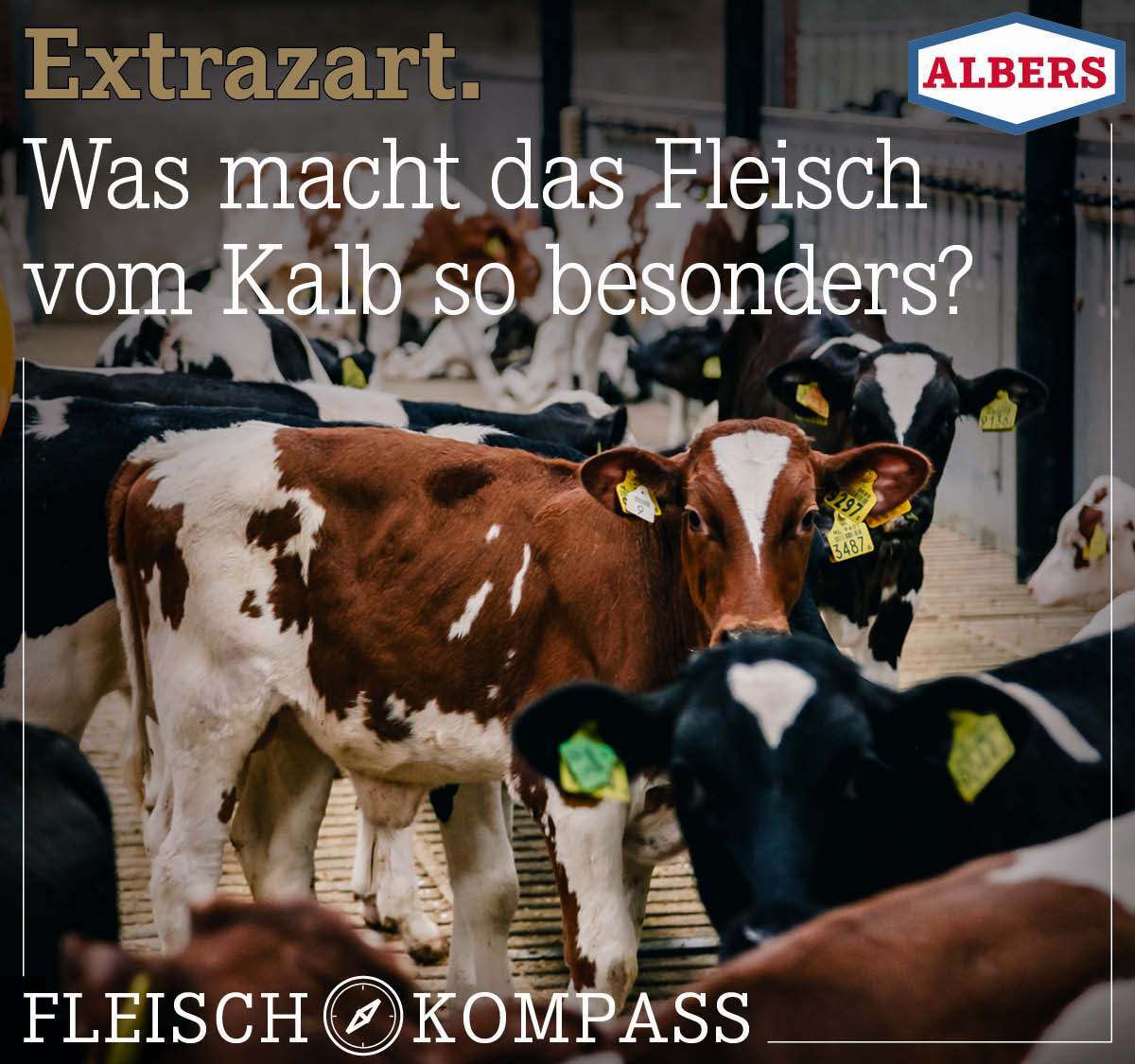 Extrazart. Was macht das Fleisch vom Kalb so besonders?